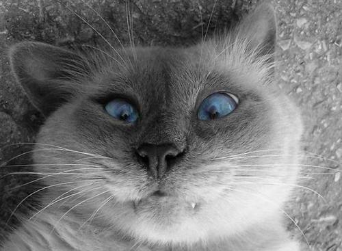 YuninDenis's profile picture. Я Смочный