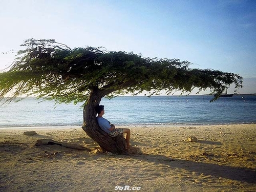 Man wants to feel that he is on top of everything. He has technologies and is developing new moral values. But is man still enjoying meaning and freedom?