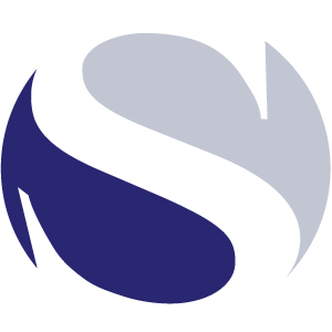 Information ENABLEMENT.
Technology Advisory, Information Security and Risk, Information Intelligence and Analytics