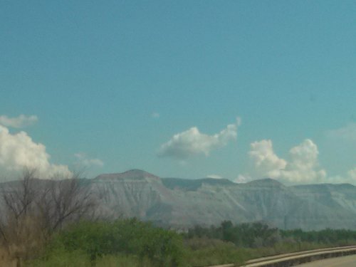 SCRIPSIES's profile picture. 