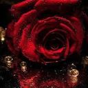 عطرالورد (@23456asdfgh) Twitter