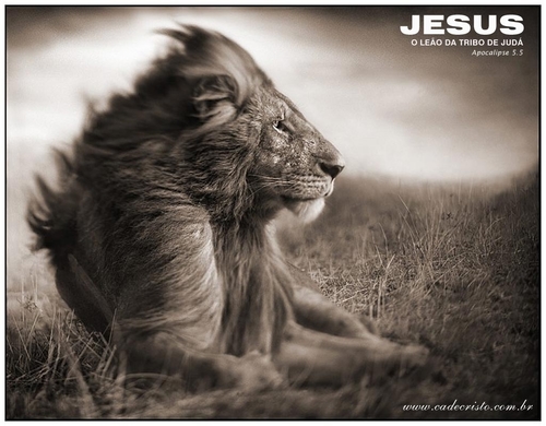JESUS DISSE:EU SOU O CAMINHO A VERDADE E A VIDA.NINGUEM VAI AO PAI SENAO POR MIM. ACEITE JESUS E SALVE TUA ALMA.O LEAO DA TRIBO DE JUDÁ! ALELUIA!