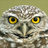 mbbrown's profile image
