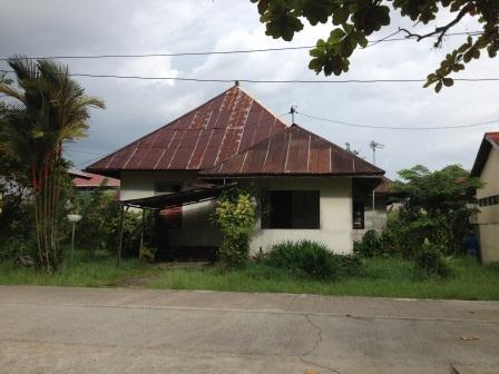 Property Developer
