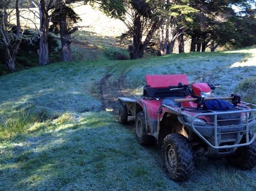 jphakaraia's profile picture. pass