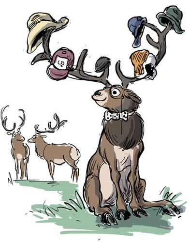 Like the bofh but with more antler. @bmoosefh@mastodon.social