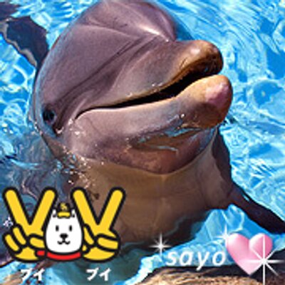 Sayo コラリッチex 口コミは好評 ただ 酷い乾燥肌の私にはどう の結果 Web34 楽しくお得に ブログライフ T Co C6adustkkw コラリッチex オールインワン キューサイ 乾燥肌 オールインワンジェル