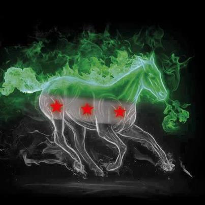 alqunaiterahalh's profile picture. 