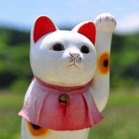 NOB_Satonaka (@luchobynosa) Twitter profile photo