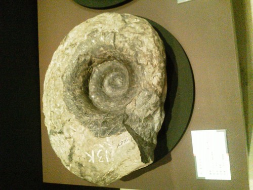 wxywxyxw's profile picture. 