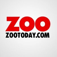 ZOO Magazine (@zoo_uk) 's Twitter Profile