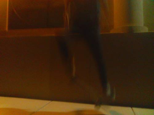 Hey my names Cesar butt my hoes call meh C-Daddy(; #IFuckHoes #IGetMoney #IFuckedYoBitch Follow meh!