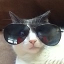 matt pettit - @monstar40 - Twitter