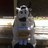 brodielittle76's profile image