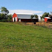 WillowCreekHorseFarm (@willowcreekhors) 's Twitter Profile