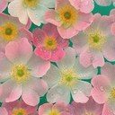 Shauna McCarthy - @SMcC3 - Twitter