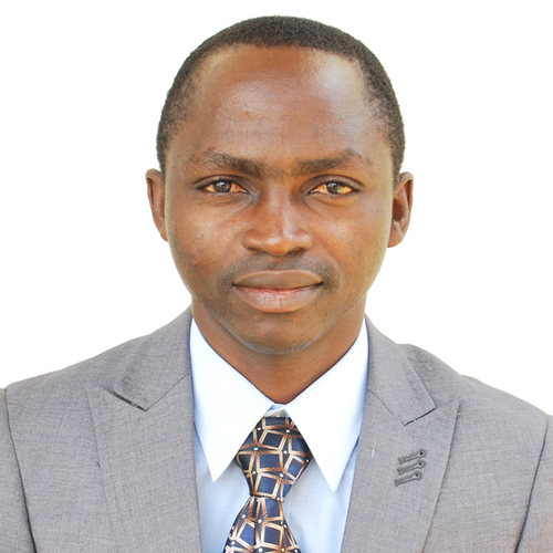 An accountant, with 
Mathematical and analytical skills.