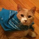 sheldon lewis - @sheldonsl - Twitter