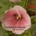 John Culver (@hollyhockhouse) Twitter profile photo