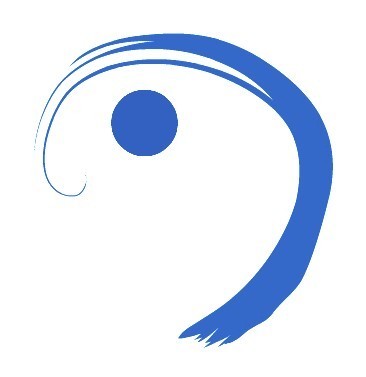 Clinical Somatics retrains habitual muscular patterns, relieving chronic pain and preventing recurring injuries and physical degeneration.
