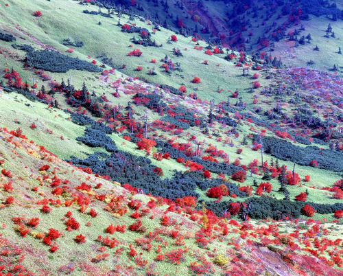 Su57EIT3's profile picture. YF-23 Black Widow IIはイケメン。