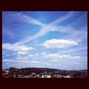 Grace Winter - @grace_liontooth - Twitter