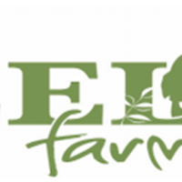Peel Farm (@peelfarm) 's Twitter Profile