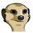 MKtix's profile image