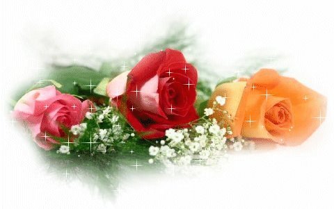 betlaly's profile picture. 