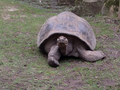 MakitasStan's profile picture. 