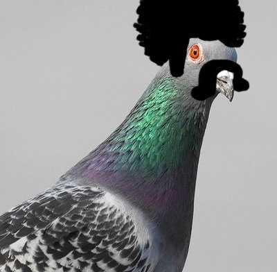 I fell out of my nest. My mother is a brown man.