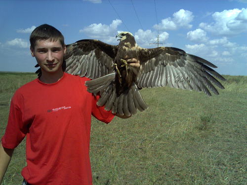 DmitriyOrenburg's profile picture. 