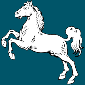 Equestrian enthusiasts, living and working in the heart of equestrian country. Follow us for #equestrian news. Powered by Wisehaupt, Bray Asset Management!