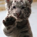 Hunter Stutz - @hunteradara - Twitter