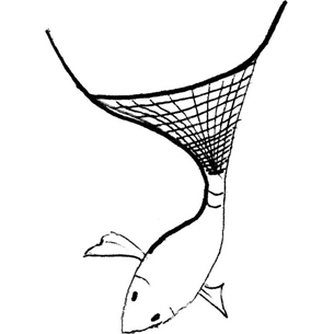 bilanciadibepi's profile picture. noleggio kayak, pescatore professionale