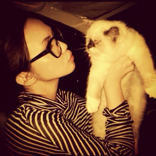 irmameowwy's profile picture. im a huge cat lover and i do really care about their environment