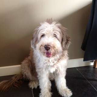 vanBoxel1's profile picture. 