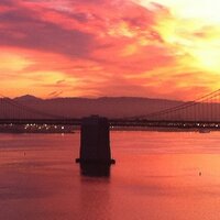 SFTrdr (@docstoc1) 's Twitter Profile