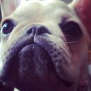 Maggie Bob Kahler - @MaggzyBob - Twitter