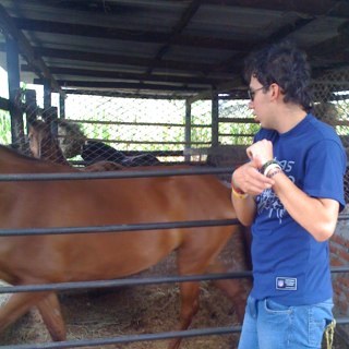 Dariosantaferen's profile picture. 