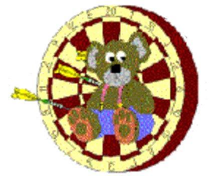 Dartsvereniging The Flying Bears uit Marken