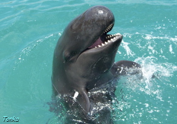 lifeslave's profile picture. working hard to save you when you forget