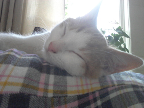 DJGB2006's profile picture. 