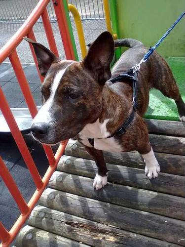 ProPalmer98's profile picture. I follow back