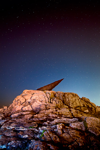 Diego_Velo_'s profile picture. 