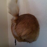 Rusty Stillions (@rustystillions) 's Twitter Profile