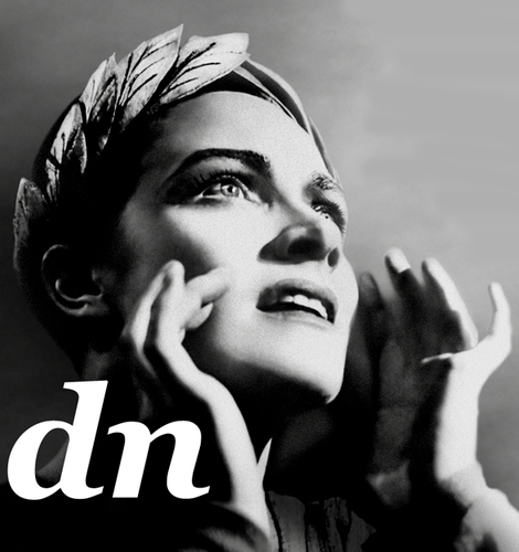 distillnation Profile Picture