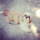 Isabel Amaral - @IsabelAmaral11 - Twitter