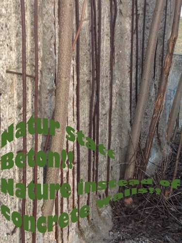 (activist4nature&sustainability, music-& media-educator & -producer) https://t.co/OdNZnCn3zo https://t.co/4JuKy0qMPM