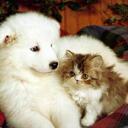 Eva Hui - @iluvmileynmandy - Twitter